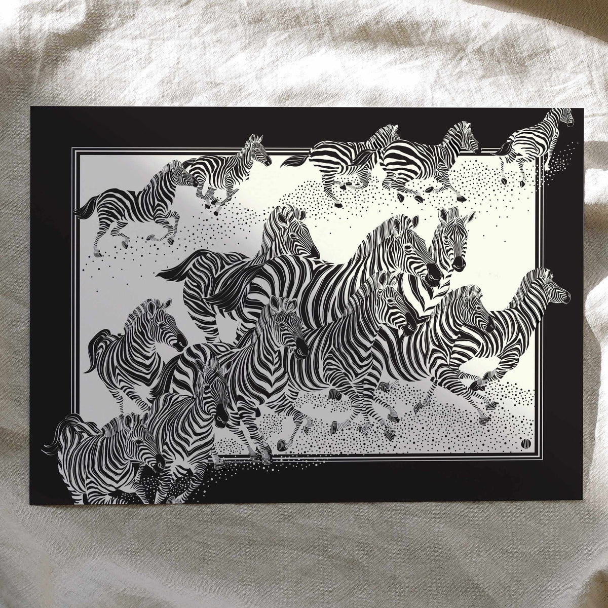 Zebra, "New Beginning" Art Print Postcard Post Cards