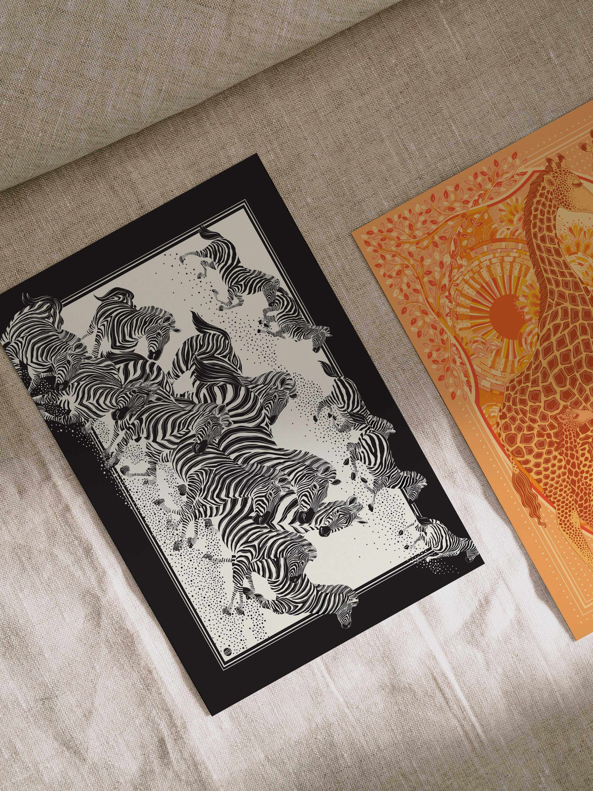 Zebra, "New Beginning" Art Print Postcard Post Cards