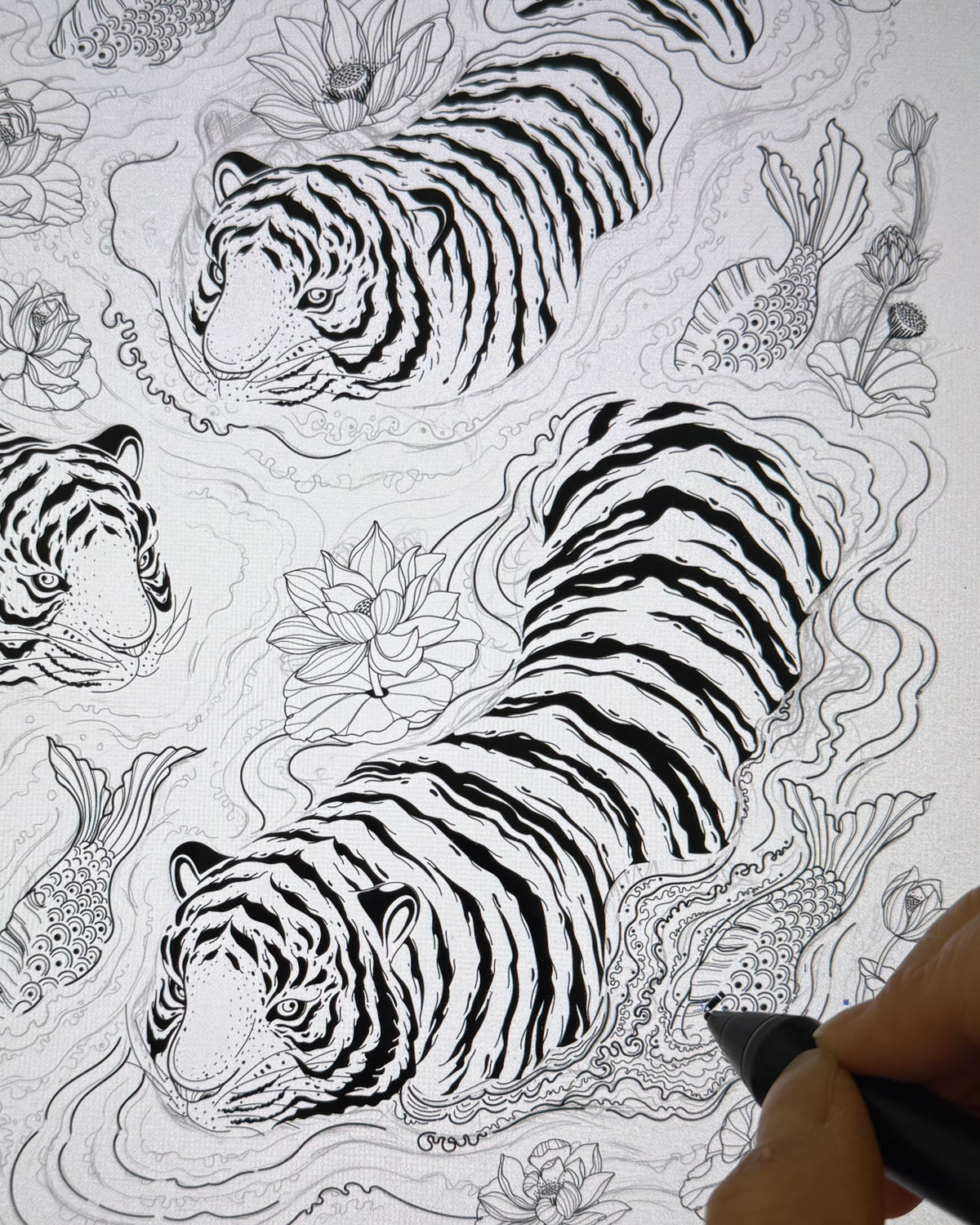 Hand-drawn illustration of tigers and lotus flowers on a white background