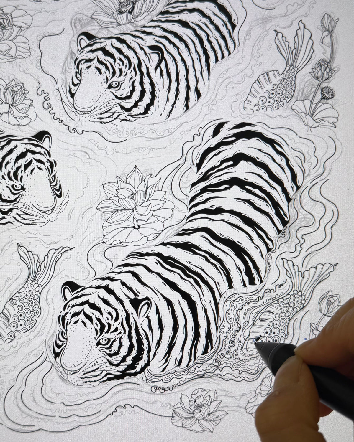 Hand-drawn illustration of tigers and lotus flowers on a white background